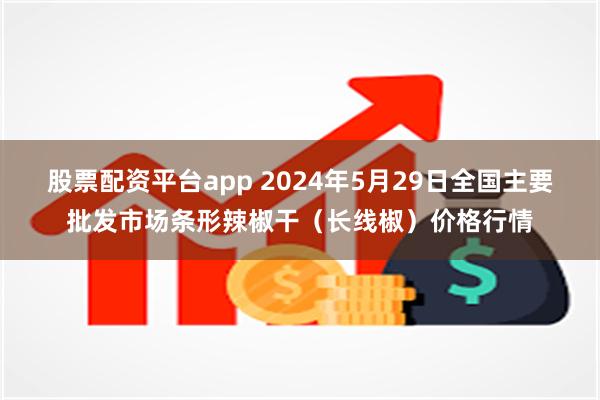 股票配资平台app 2024年5月29日全国主要批发市场条形辣椒干（长线椒）价格行情