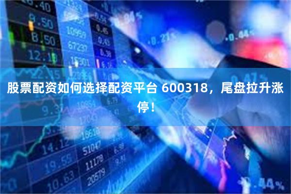 股票配资如何选择配资平台 600318，尾盘拉升涨停！