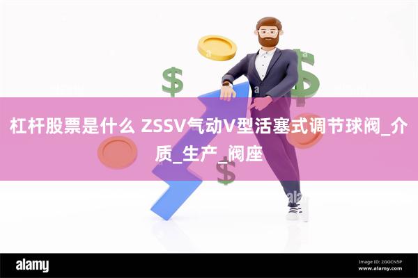 杠杆股票是什么 ZSSV气动V型活塞式调节球阀_介质_生产_阀座