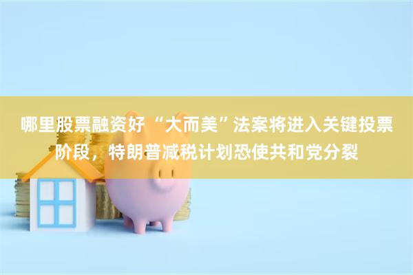 哪里股票融资好 “大而美”法案将进入关键投票阶段，特朗普减税计划恐使共和党分裂
