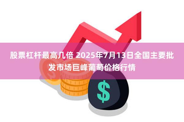 股票杠杆最高几倍 2025年7月13日全国主要批发市场巨峰葡萄价格行情