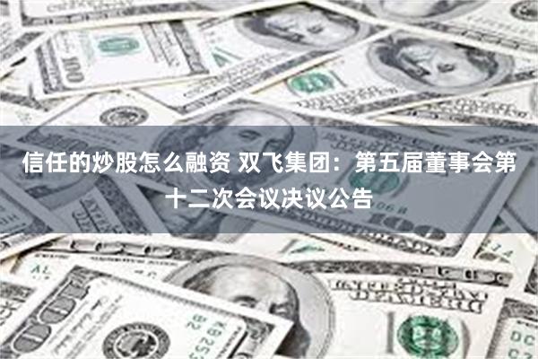 信任的炒股怎么融资 双飞集团：第五届董事会第十二次会议决议公告