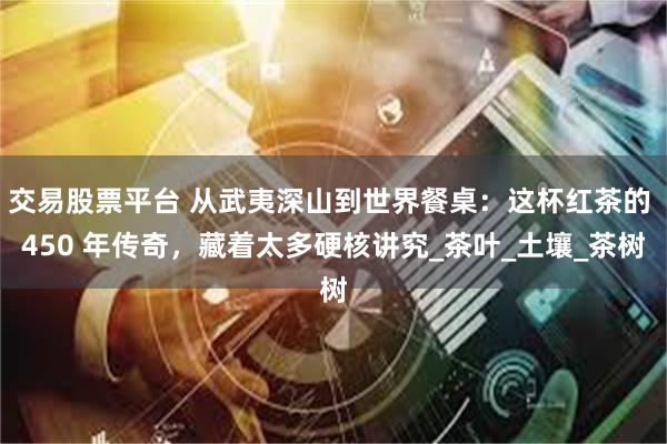 交易股票平台 从武夷深山到世界餐桌：这杯红茶的 450 年传奇，藏着太多硬核讲究_茶叶_土壤_茶树