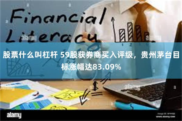 股票什么叫杠杆 59股获券商买入评级，贵州茅台目标涨幅达83.09%