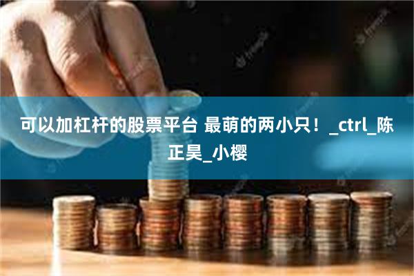 可以加杠杆的股票平台 最萌的两小只！_ctrl_陈正昊_小樱
