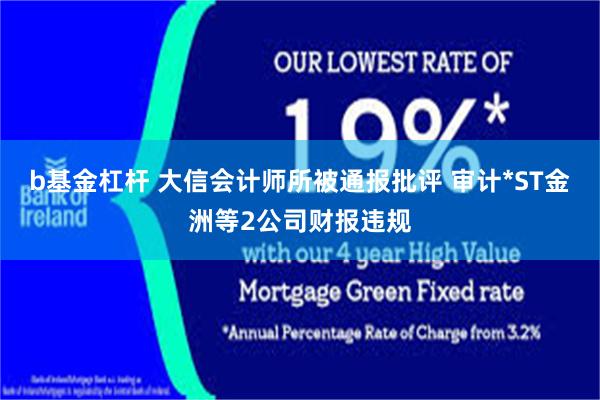 b基金杠杆 大信会计师所被通报批评 审计*ST金洲等2公司财报违规